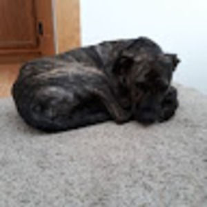 Meet your Posher, Kaitlyn